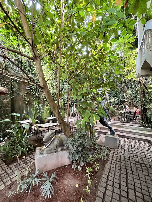 Courtyard   at Loving Earth Cafe in Fort Kochi