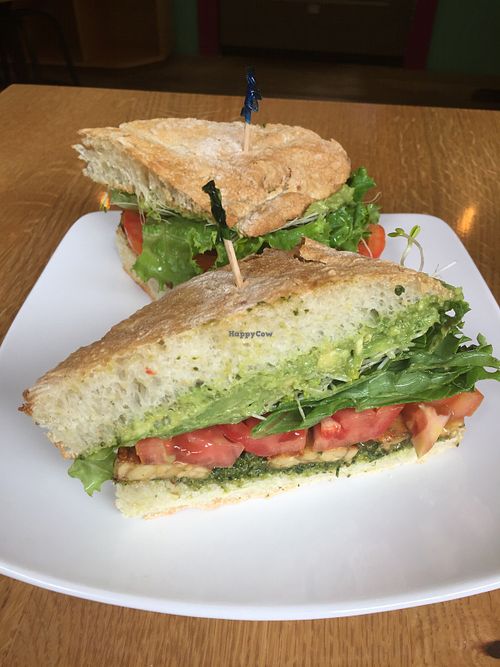 Best darn sandwich at Karma Café in Asheville