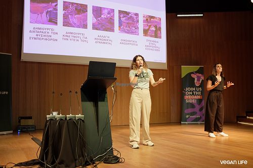 Speecea at Vegan Life NGO in Athens