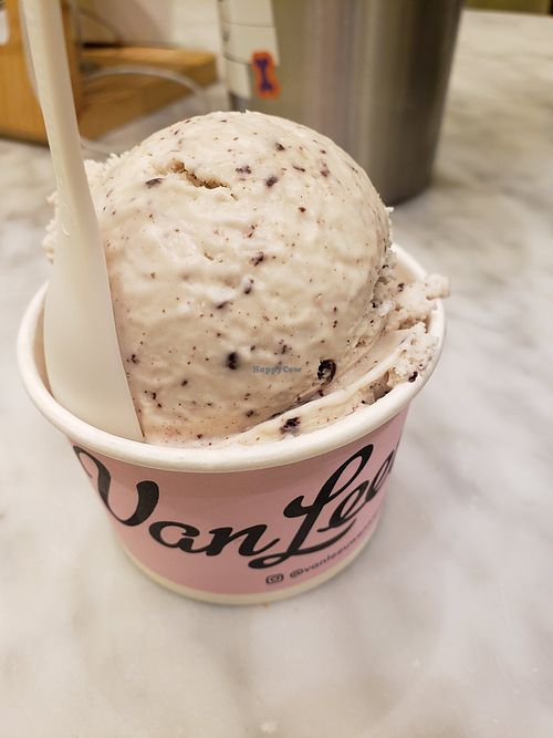 Single scoop at Van Leeuwen Ice Cream - Silver Lake in Los Angeles