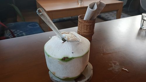 Coconut at Asa Vegan Kitchen and Studio in Chiang Mai