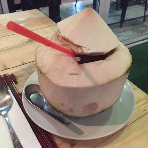 fresh coconut at Taste from Heaven in Chiang Mai