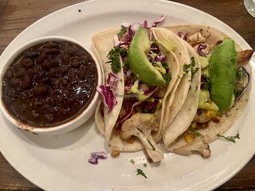   at Wicked Cantina in Sarasota