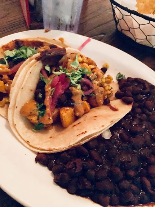 Butternut Squash Tacos at Wicked Cantina in Sarasota