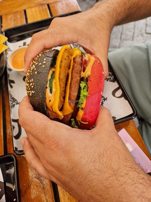 With beef and wingz at Vegan Junk Food Bar - Downtown in Amsterdam