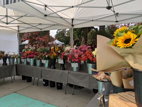 at Riley Park Farmers Market at Farmers Markets in Vancouver