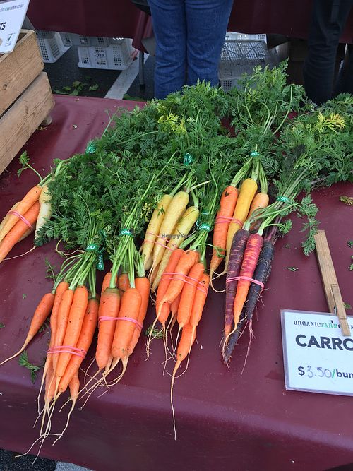 Carrots  at Farmers Markets in Vancouver