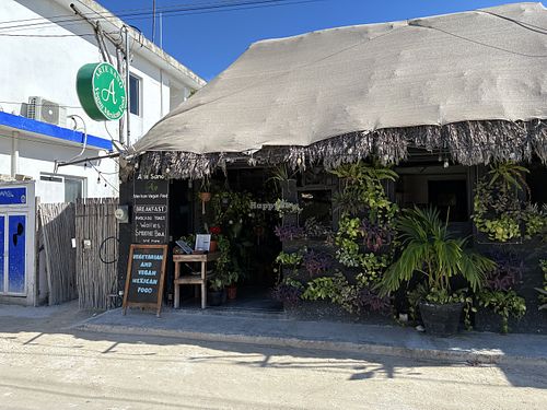   at Arte Sano in Holbox