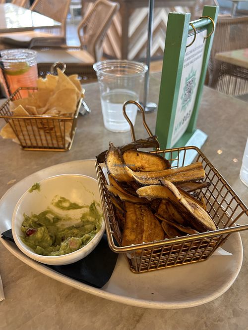   at Tocaya Modern Mexican in Hollywood