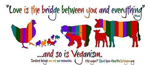 :) at Vegans/Vegetarians of Northwest Indiana in Schererville