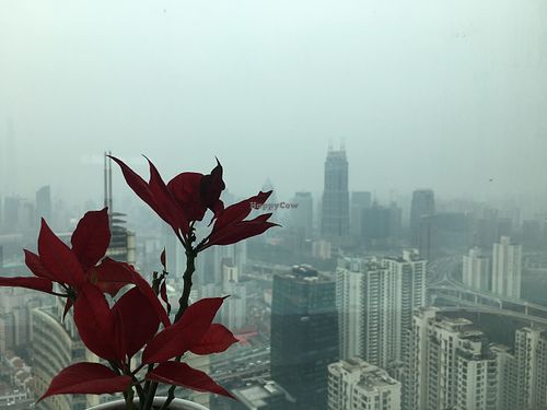 View at The Flow in Shanghai