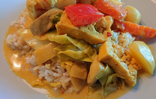 Vegan curry with tofu at Jade-Imbiss in Dusseldorf