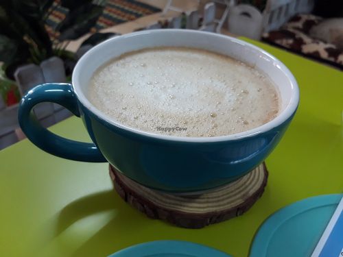 Soy latte at Cats in Wonderland in Chiang Mai
