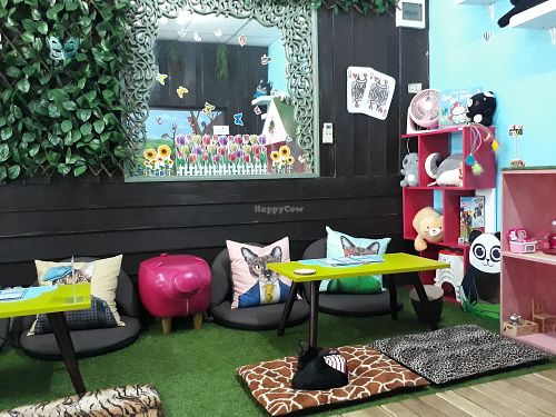 Inside at Cats in Wonderland in Chiang Mai