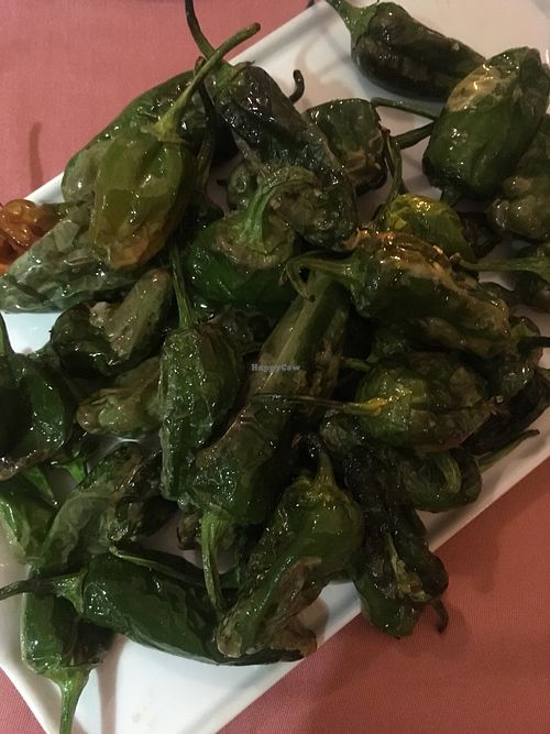 Fried green bell peppers at Taberna De Nino in Lanzarote