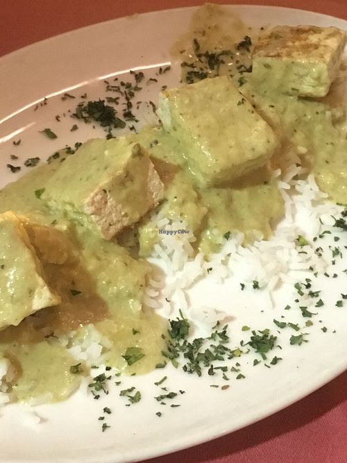Curry tofu with basmati rice at Taberna De Nino in Lanzarote