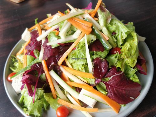 Elephants Kick Salad at Fotosintesa in Batam