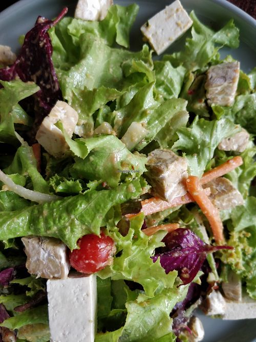 Gundel Pecel at Fotosintesa in Batam