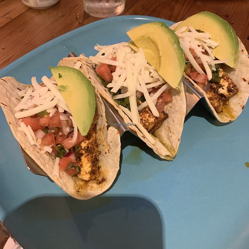 Blackened Tofu Tacos at Moondog in Key West