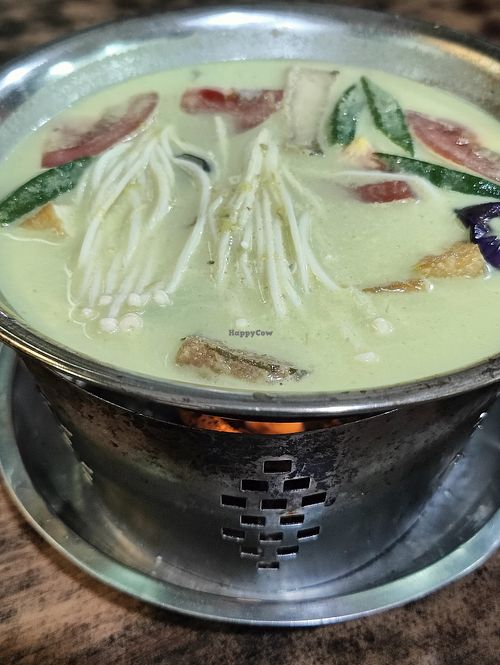 Green curry at Green Bliss Habitat 綠福苑 - Fortune Centre in Central Singapore