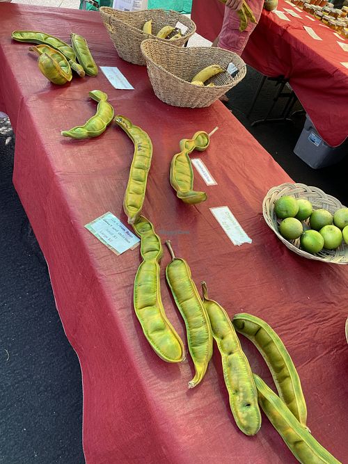 Ice cream beans at Keauhou Farmer's Market in Kailua Kona
