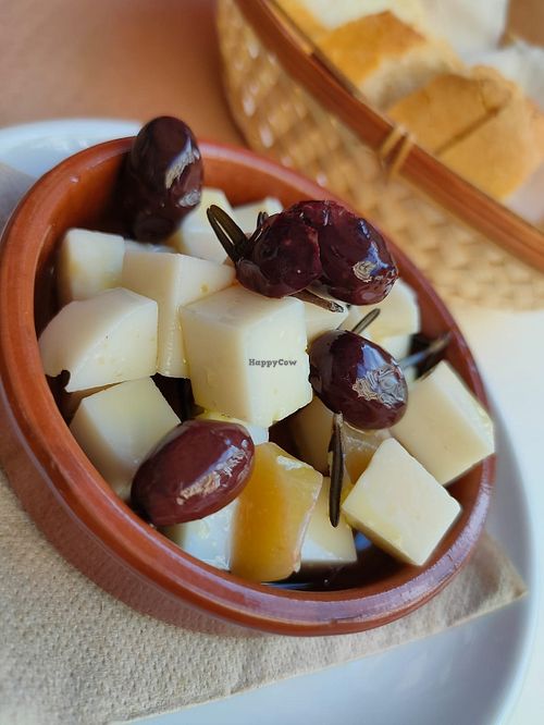 Tapa queso y aceitunas at Cafe Madrigal in Valencia