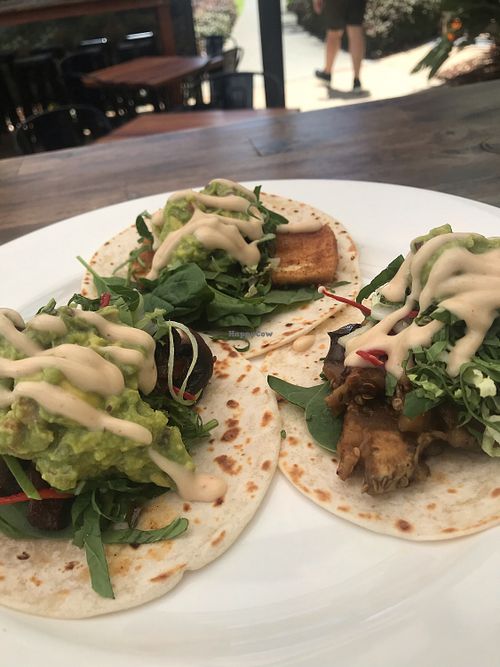 Taco large plate. One eggplant, one mushroom. One tofu. ALL delicious!!!  $22 at BKA Vegan in Burleigh Heads