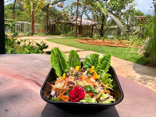 Cooper’s salad fresh from the farm with quinoa at Cooper's Specialty Kitchen in Ao Nang