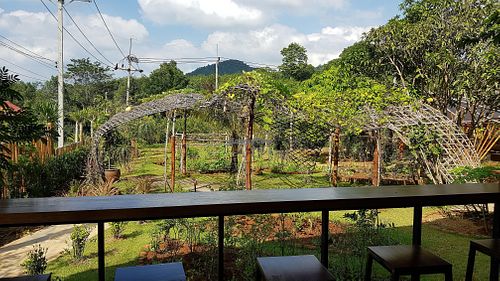 View from cafe at Cooper's Specialty Kitchen in Ao Nang