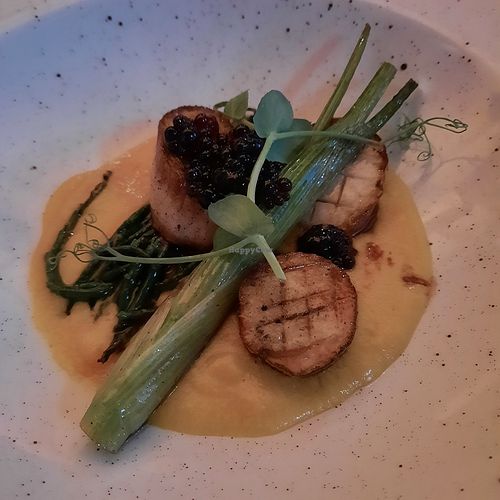 'Scallops' served with samphire at Twelve Eatery in Bournemouth
