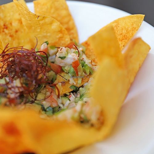 Ceviche Bowl at Roja Mexican Grill in Omaha