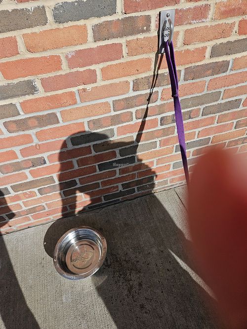 You can hang your dog up outside. at Heinen's Grocery Store in Chagrin Falls