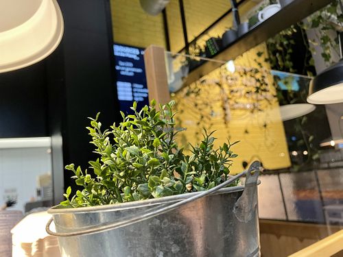 inside at Swing Kitchen - Rosenthalerstraße in Berlin