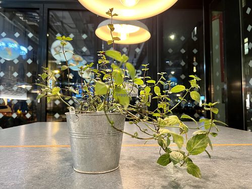 table at Swing Kitchen - Rosenthalerstraße in Berlin