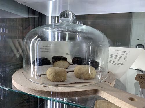 Vegan cheeses at Little Plant Pantry in Amsterdam