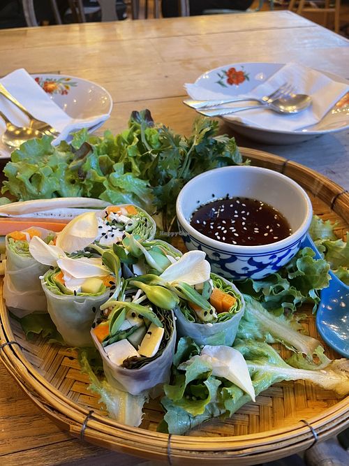 Fresh thai spring rolls  at Ginger Farm Kitchen in Chiang Mai
