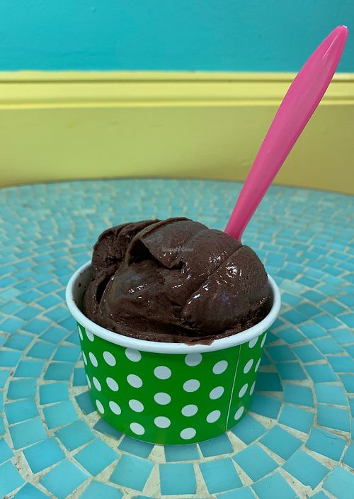 Vegan Ice Cream at Zirilli's Chilly Treats  in Cape Coral