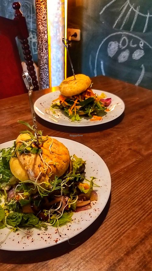 Seitan burger & peanut burger at Zum glücklichen Bergschweinchen in Kassel