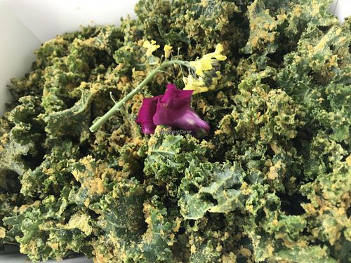 Kale salad at Sukha Cafe in Baton Rouge