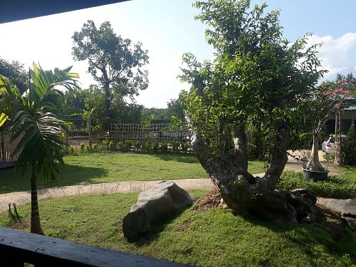 Garden at Kham Luang in Chiang Mai