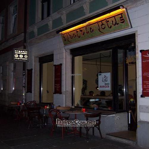 Electric Lotus at Night at Biosphare in Dresden