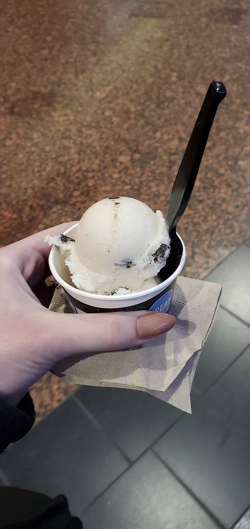 Vegan mint chocolate chip icecream at ANC - Cream - TS in Anchorage