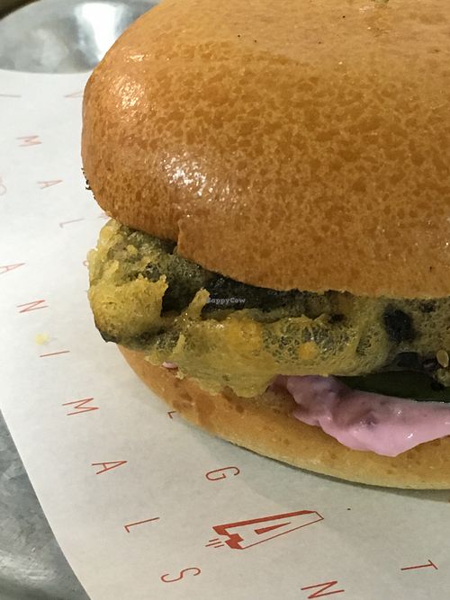 Filet No Fish burger at Take A Veg in Dublin