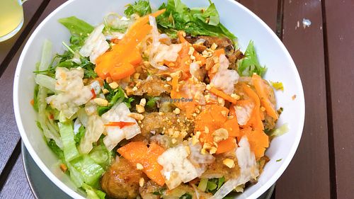 noodle salad with spring rolls, carrots, cucumber, pineapple at Vegan Village in Hannover