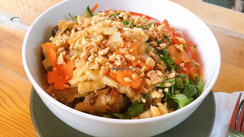 spring roll salad at Vegan Village in Hannover