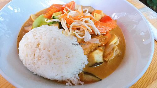 veggies & tofu in peanut sauce at Vegan Village in Hannover