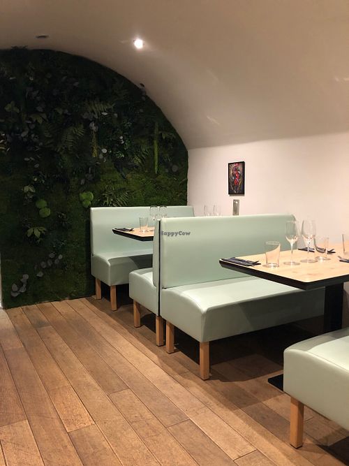 The living wall at Freya in Aix-en-provence