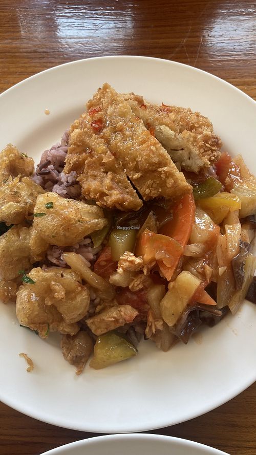 Some vegan chicken on top, lovely!  at Chew Xin Jai in Pai