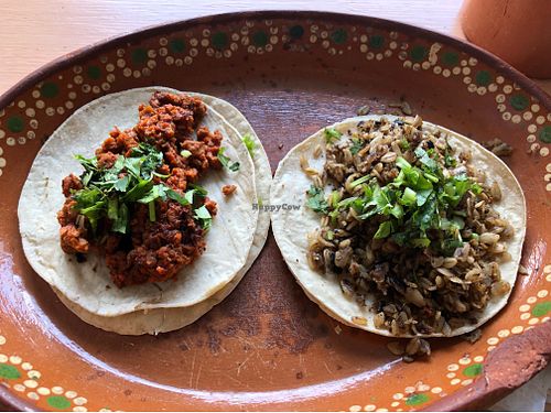 Tacos de chicharrón de avena y pibil  at TARA in Morelia