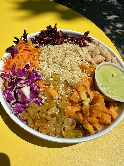 the glow bowl  at Root in Newport